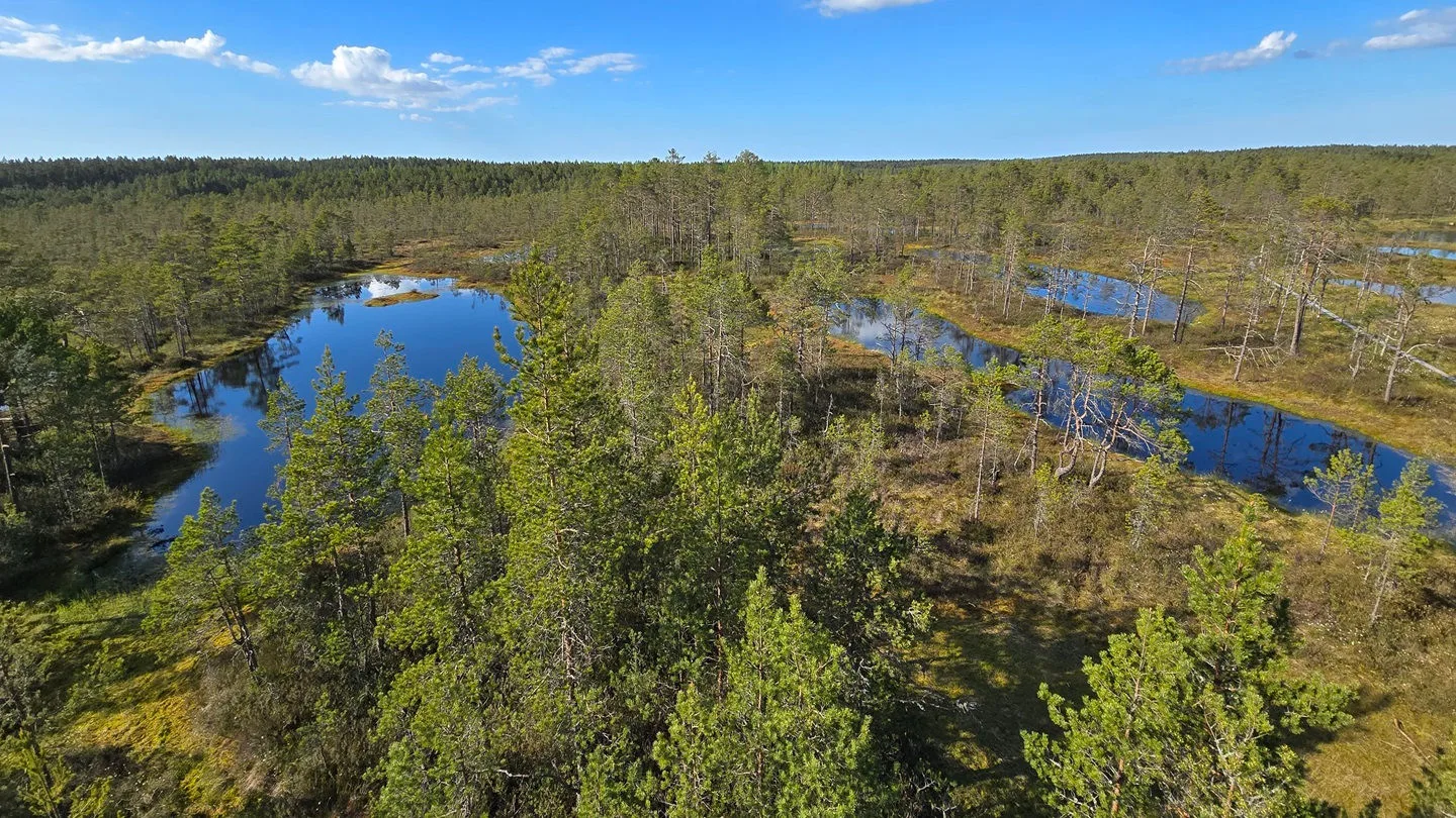 Feuchtsumpfgebiet, Lahemaa Ravuspark