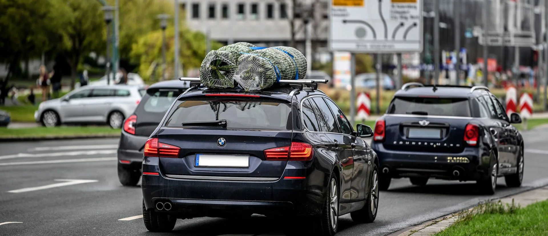 Auf einem PKW-Dach werden Weihnachtsbäume transportiert