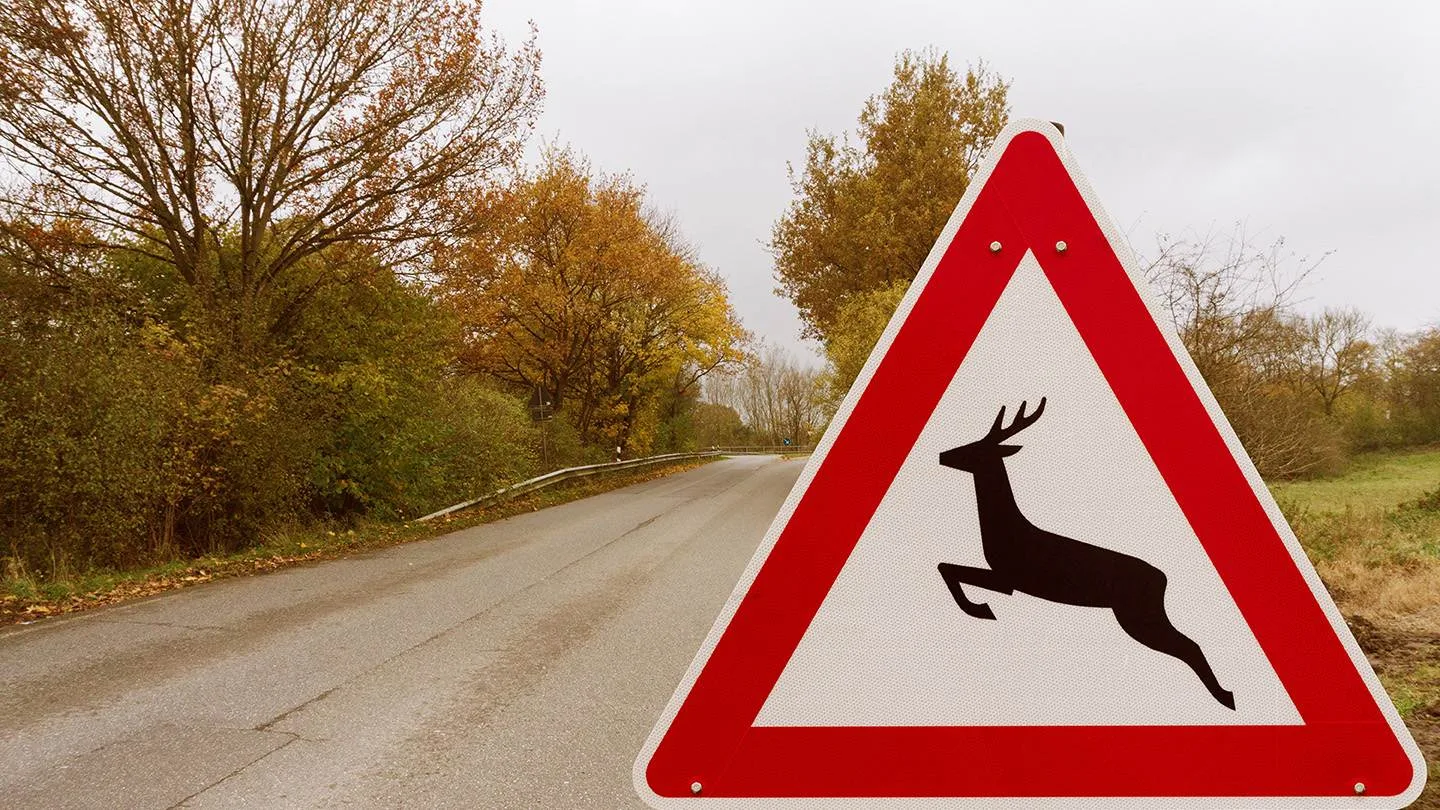 Verkehrsschild zum Wildwechsel