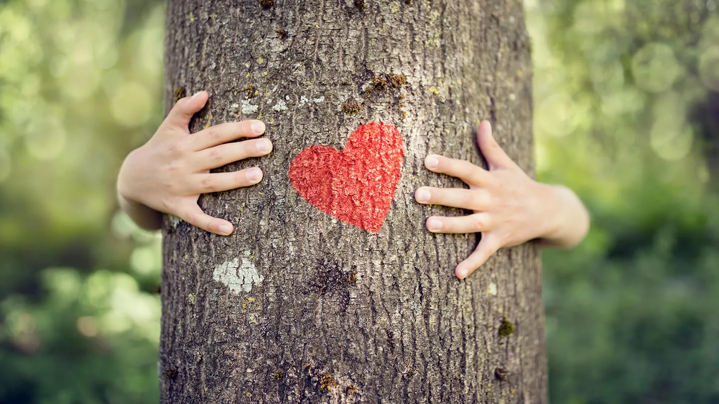 Eine Person umarmt einen Baum