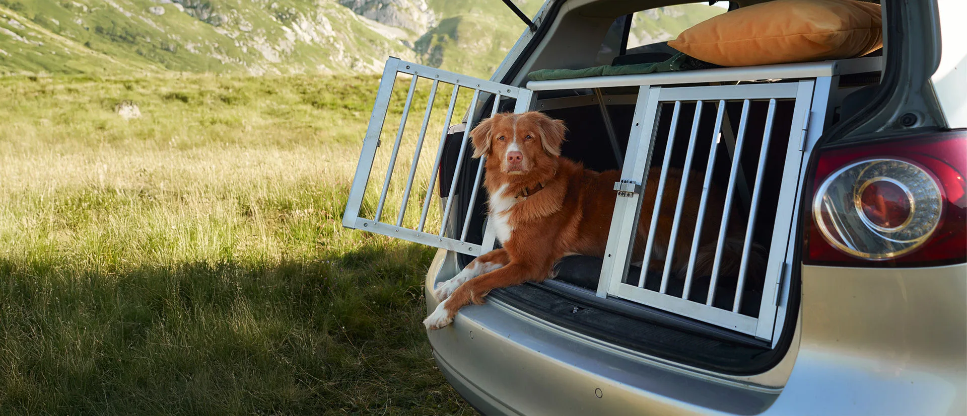 Brauner Hund in einer Transportbox im geöffneten Kofferraum vor einer Berglandschaft.