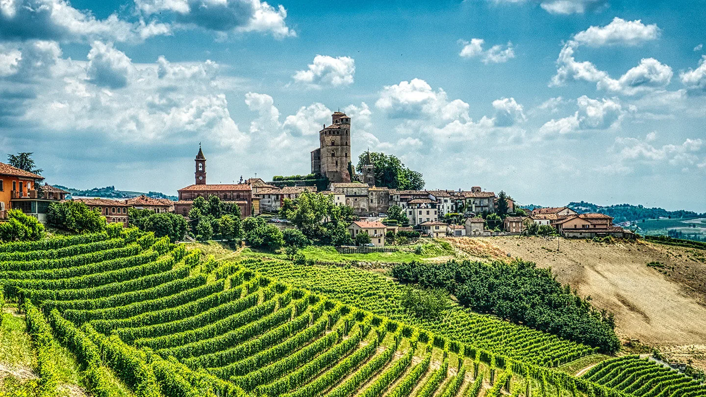 Weinberge im Piemont