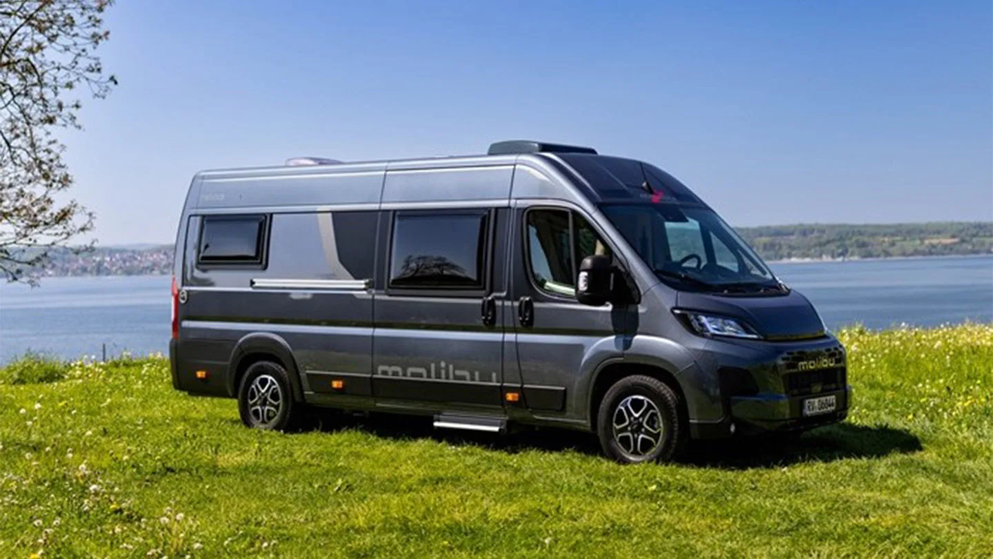grauer Campervan auf grünem Gras