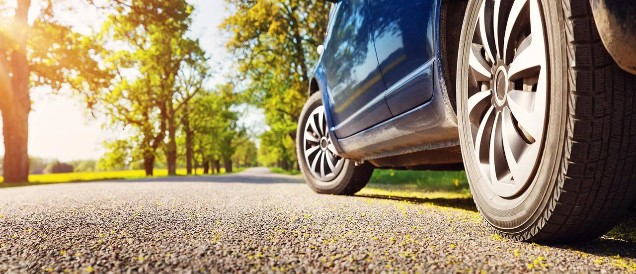 Blick in der liegenden Perspektive auf eine Straße im Frühling