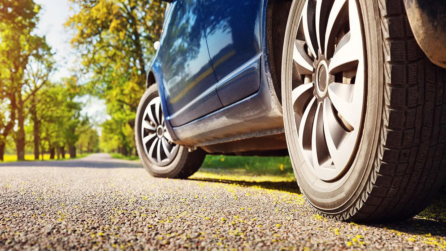 Blick in der liegenden Perspektive auf eine Straße im Frühling