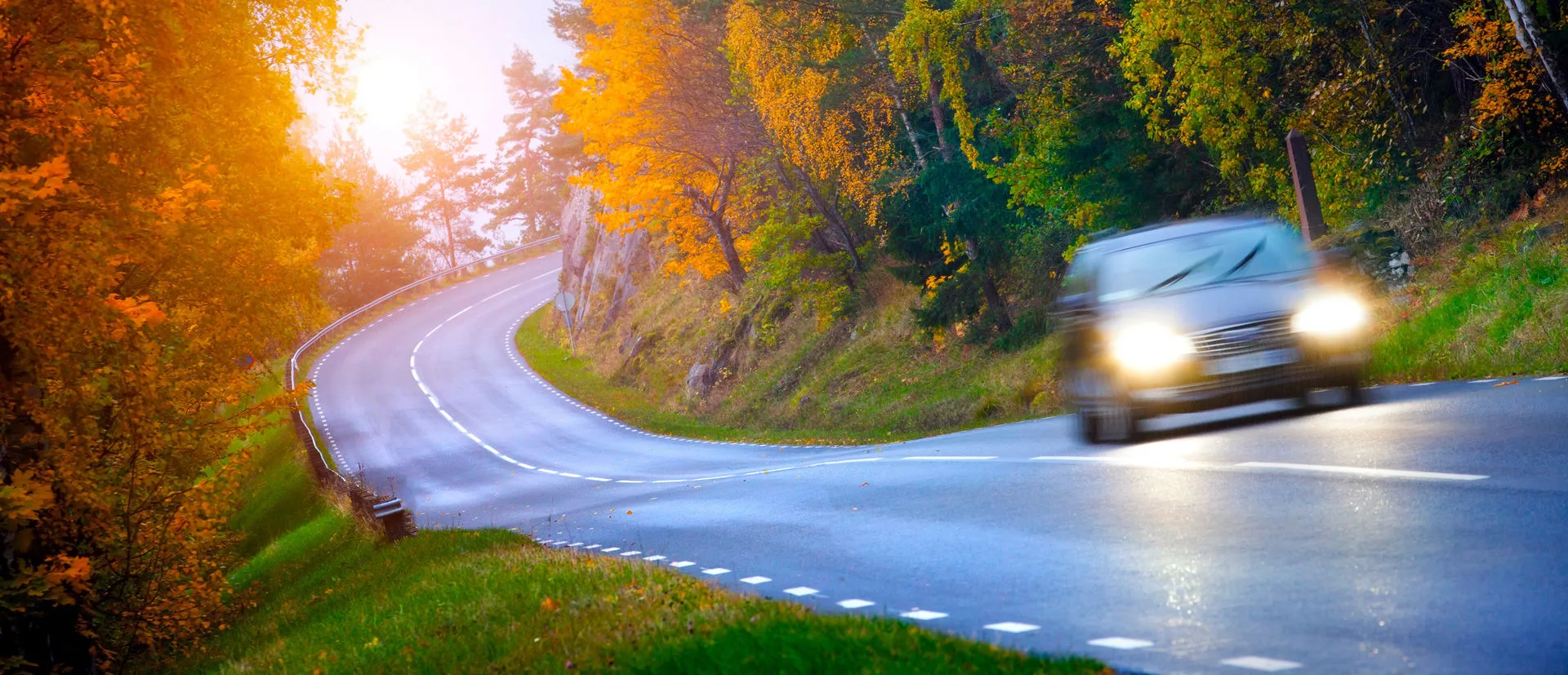 Auto fährt auf Landstraße durch Herbstwald im Gegenlicht